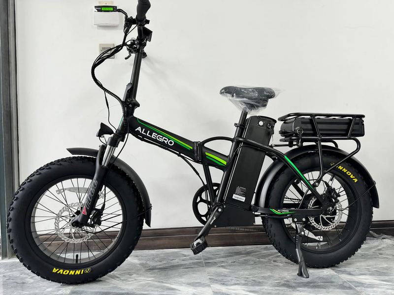 Allegro E Bike  For Delivery Purpose