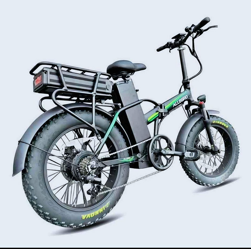 Allegro E Bike  For Delivery Purpose