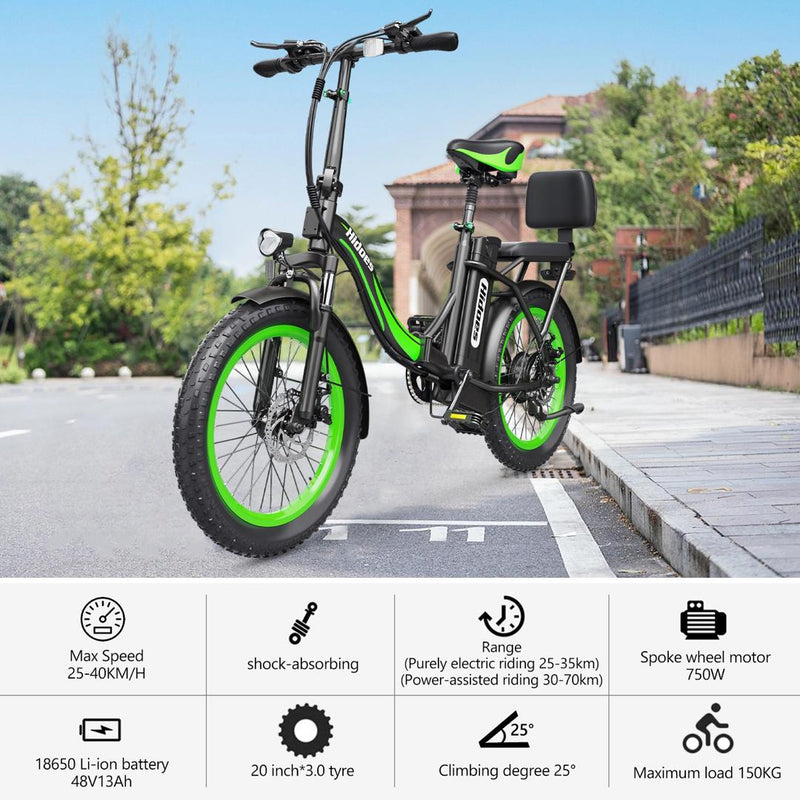 Hidoes C1 Folding Electric Bike