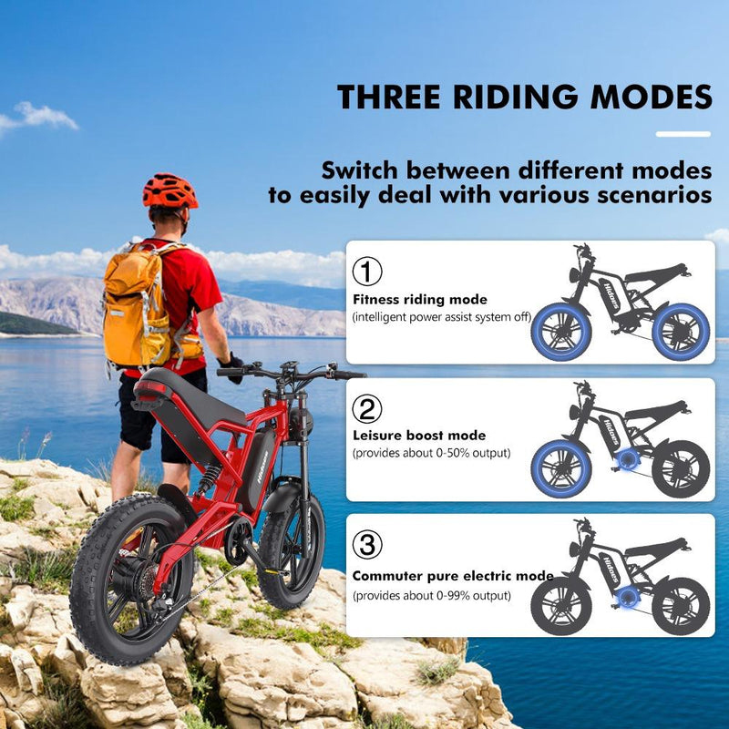 Hidoes B6 1200W Electric Fat Bike