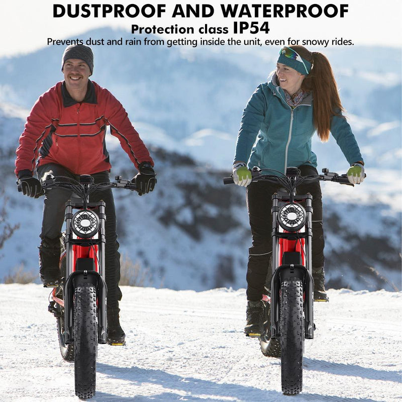 Hidoes B6 1200W Electric Fat Bike