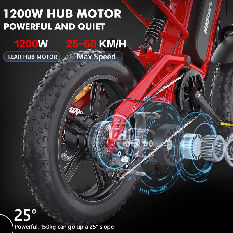 Hidoes B6 1200W Electric Fat Bike