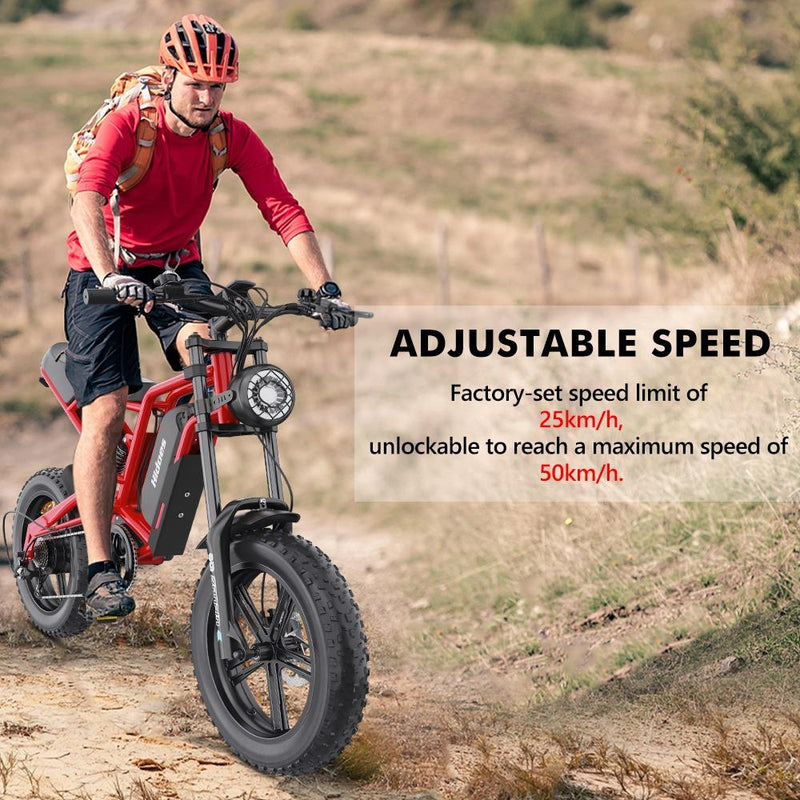 Hidoes B6 1200W Electric Fat Bike