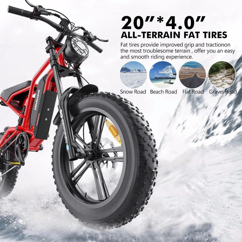 Hidoes B6 1200W Electric Fat Bike