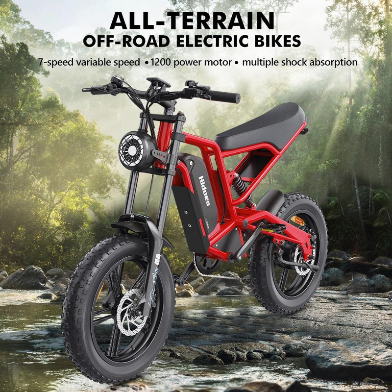 Hidoes B6 1200W Electric Fat Bike