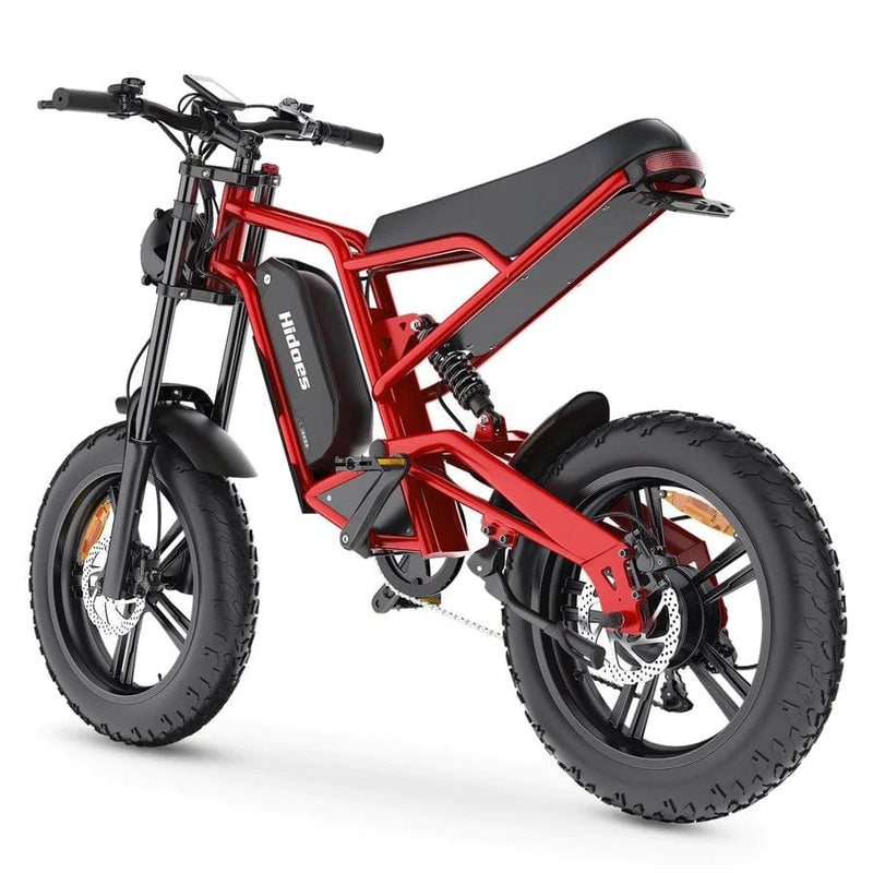 Hidoes B6 1200W Electric Fat Bike