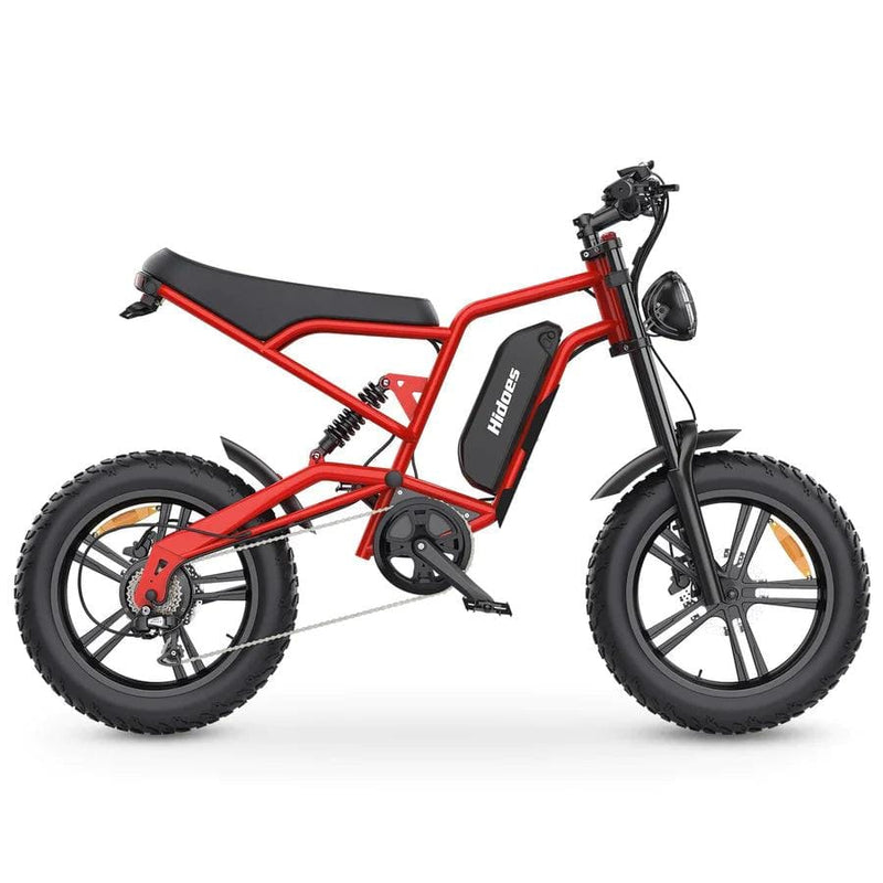 Hidoes B6 1200W Electric Fat Bike