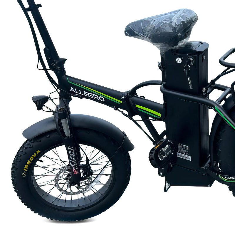 Allegro E Bike  For Delivery Purpose