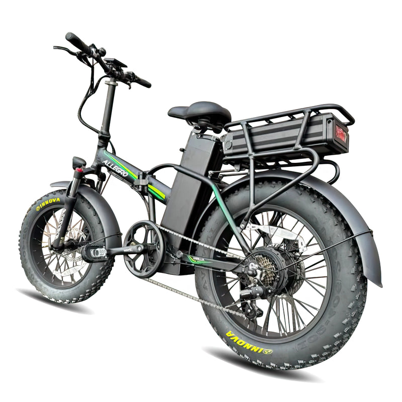 Allegro E Bike  For Delivery Purpose